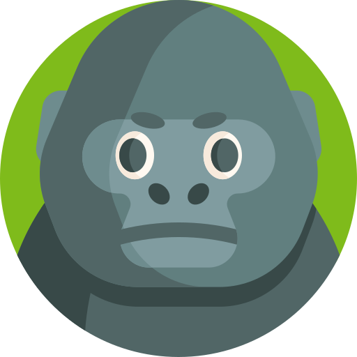 Vincent profile picture